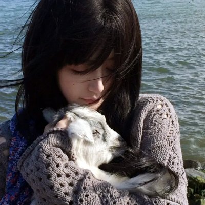 流星赶月记